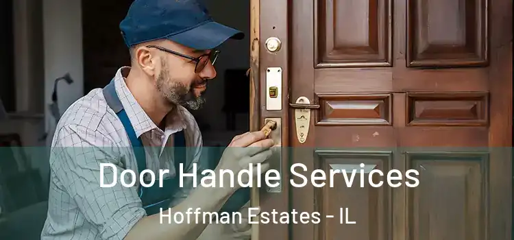 Door Handle Services Hoffman Estates - IL