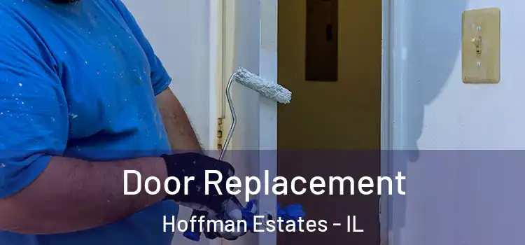 Door Replacement Hoffman Estates - IL