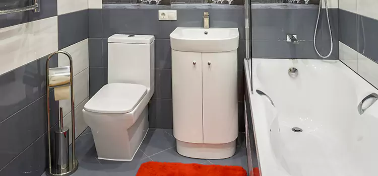 Hansgrohe Shaving Mirror Hoffman Estates