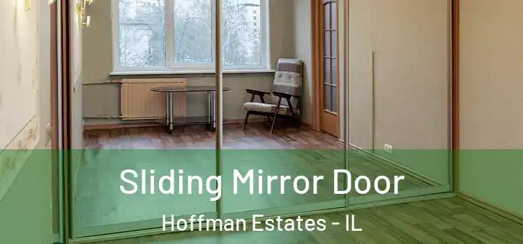  Sliding Mirror Door Hoffman Estates - IL
